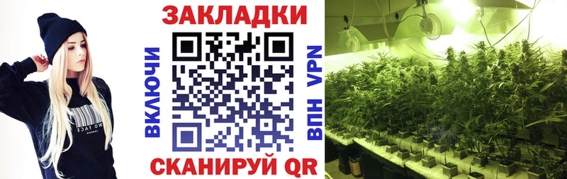 Продажа наркотиков Чекалин APVP  БУТИРАТ  МЕФ  ГАШ  Марихуана  АМФ 