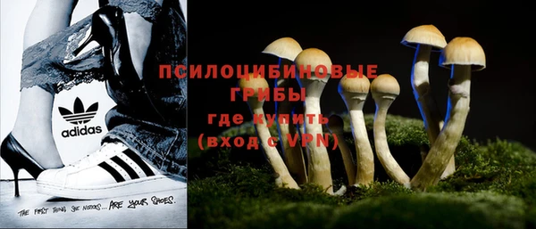 jwh Богданович